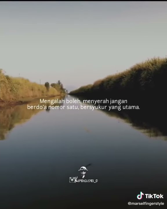 Download lagu story wa hari Senin馃挳馃尀