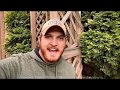 Town Hall - Staff Update