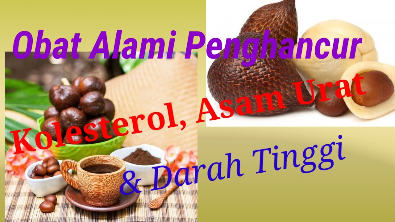 Obat Alami Penghancur Kolesterol Jahat, Asam Urat & Tekanan Darah Tinggi