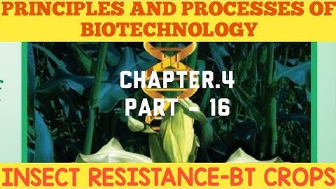 12th bio-botany chapter-4. Principles And Processes Of Biotechnology (INSECT RESISTANCE - Bt crops)