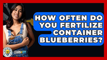 How Often Do You Fertilize Container Blueberries? - LearnToDIY360.com