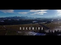 Bukowina