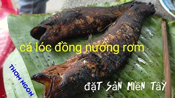 Cá lóc nướng rơm || đặt sản miền tây.Danh Nguyễn TV