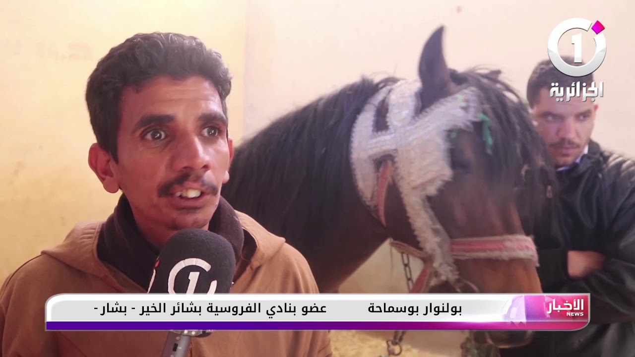 بشار: نادي الفروسية ينتظر رد الإعتبار ببلدية بني ونيف