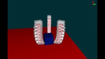 Soft PneuNet Gripper In Action