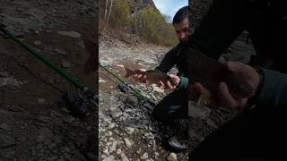 Трофейный ХАРИУС на муху🎣 #рыбалка #рыба #fishing #nature #приключения #природа #горнаярека #лето