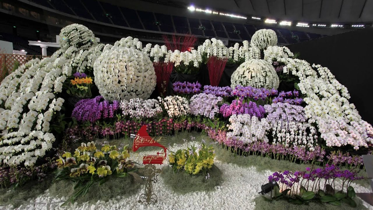 世界ラン展2010 The World Orchid Exposition 2010.mpg