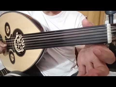 رحلة الأيام سفر الدغيلبي عود تعليميه لطلب نوتات وشرح الاغاني تواصل واتساب 0096891919689