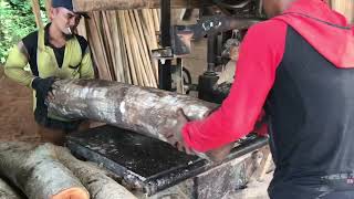 Proses penggergajian kayu jati mahoni dan rimba campur lain