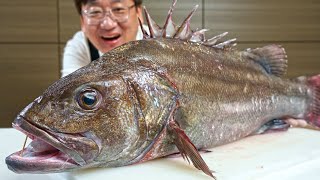 Luxury dishes made with the legendary fish ‘Striped jewfish’