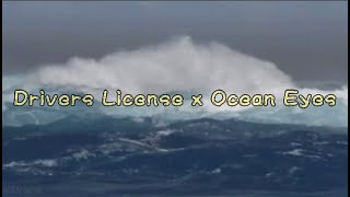 Drivers License X Ocean Eyes (Carneyval Mashup) (Lyrics)