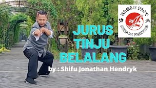 PRAYING MANTIS STYLE (Jurus Tinju Belalang) by : Shifu JONATHAN HENDRYK - Eagle Fist Kungfu Fighting