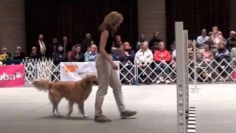 Buoy & Kathy Platt Winner NOI 2010