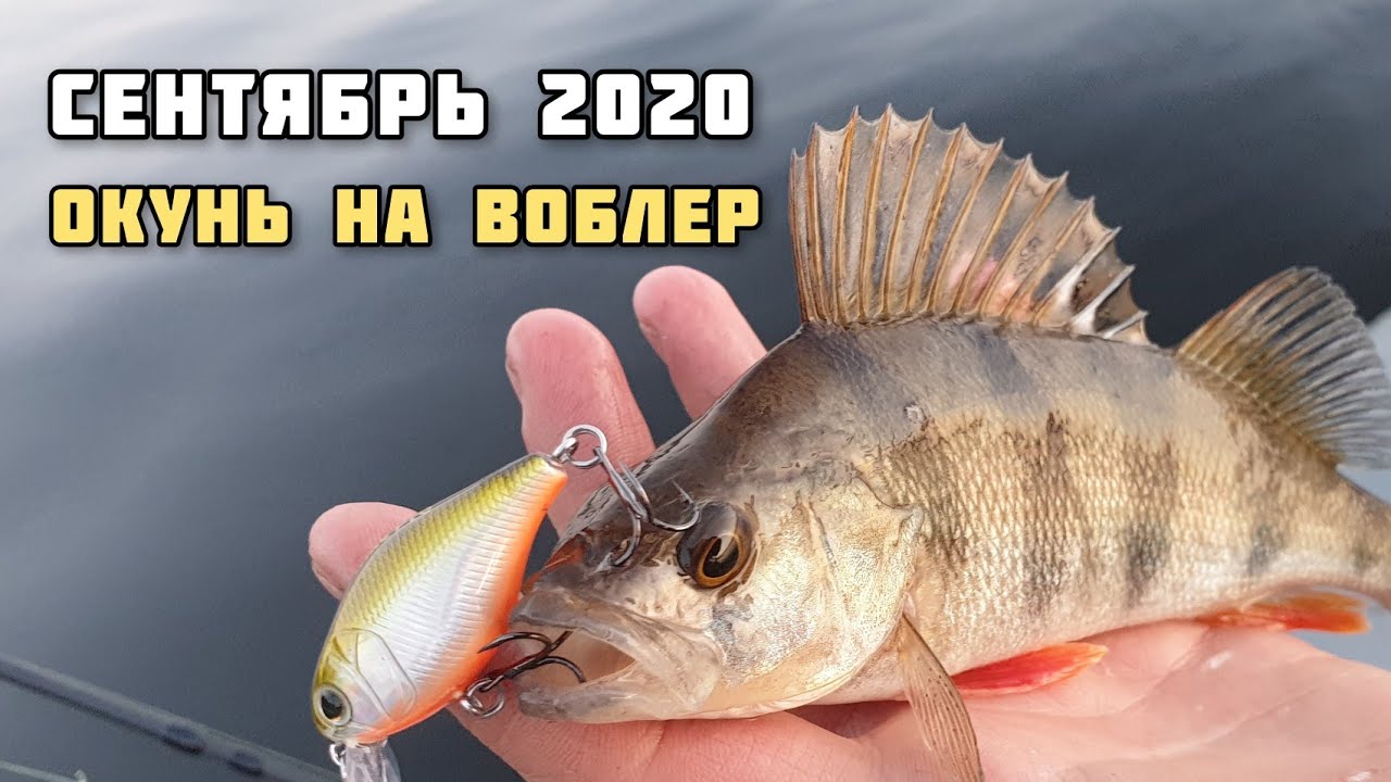 Где ловить на оке