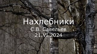 видео: С.В. Савельев - Нахлебники картинка: С.В. Савельев - Нахлебники