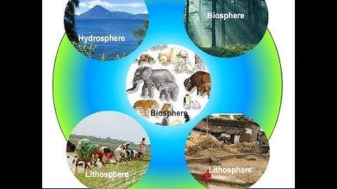 Atmosphere| ICSE| CBSE|  Class 4 Social Studies| The four domains of the Earth
