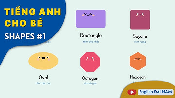 Learn Shapes in English | Học Từ Vựng Hình Dạng Trong Tiếng Anh | 🗣️🇺🇸🇻🇳 | 📺 English Đại Nam