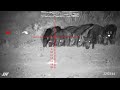 DNTOptics TNC225R ThermNight Hog Hunt DNTOptics TNC225R ThermNight Hog Hunt