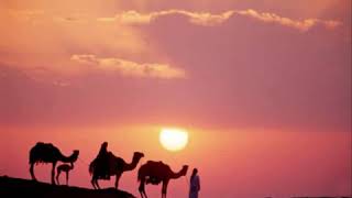 تاكسي اللي جاي من الحمام عليه خميسه من قدام   الجنرال   سمعها