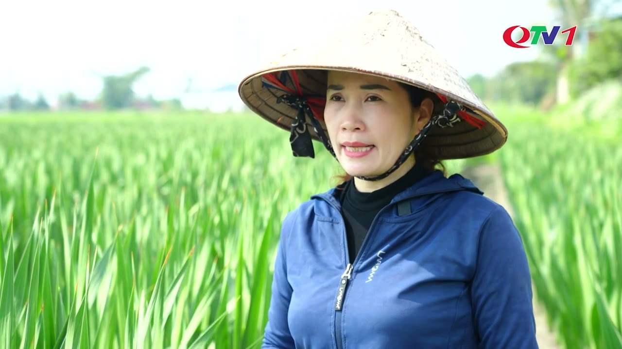 NHUNG NGUOI GIU SAC HOA MUA XUAN QTV