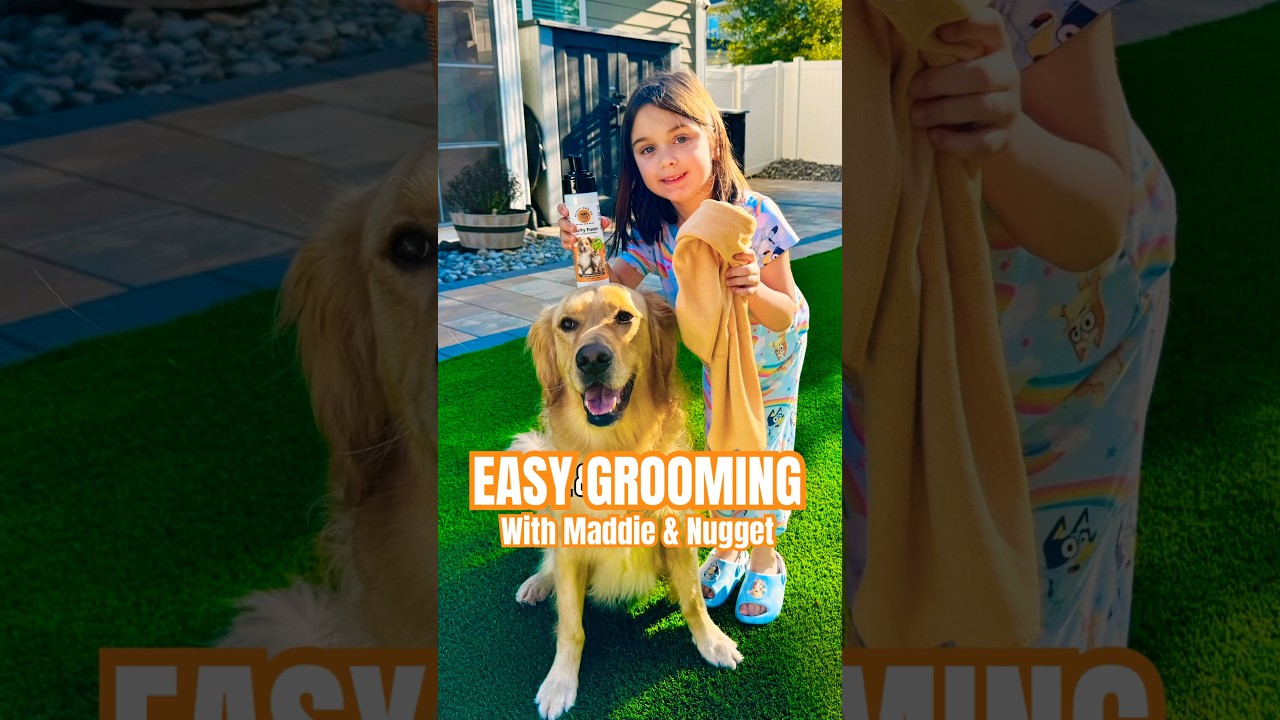 Brushing & Bath Time Made Easy 🐾 | Nugget & Maddie Rated ✅ #GoldenRetriever #Brushtober