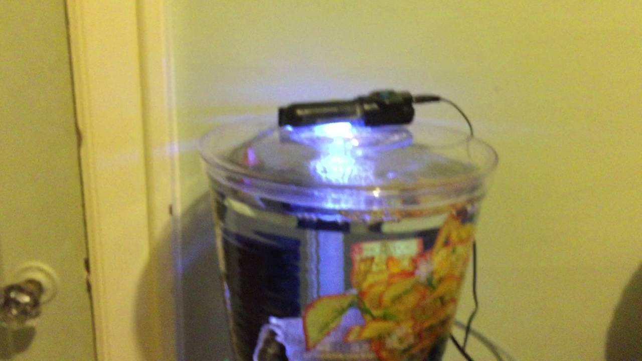 Drink Dispenser Betta Tank YouTube