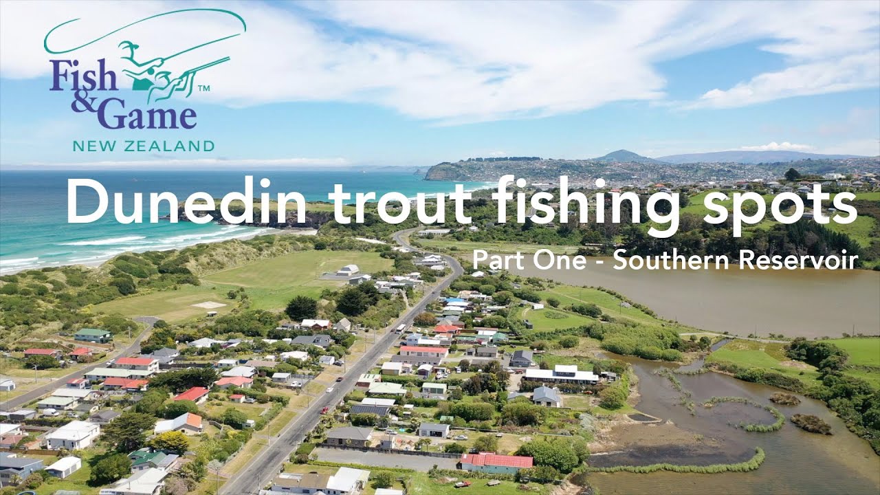 Dunedin trout fishing spots Part One YouTube