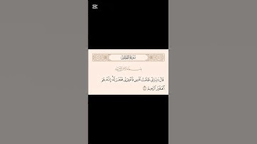 #foryou #تلاوه_خاشعه #محمود_الشحات_أنور #القران_الكريم #سورة_القصص