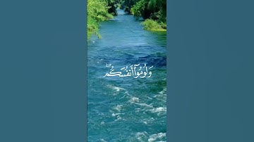 سورة ابراهيم - يوسف الصقير