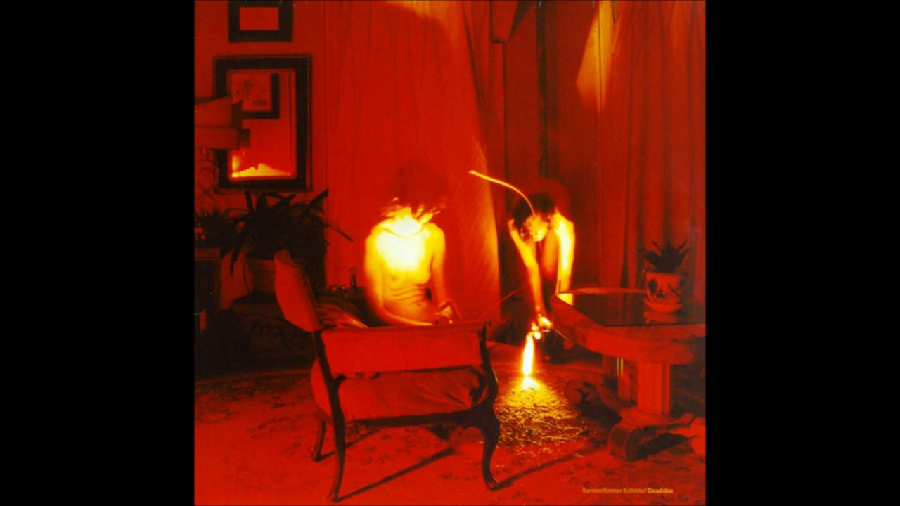 Kammerflimmer Kollektief- Irgendwann Frühling