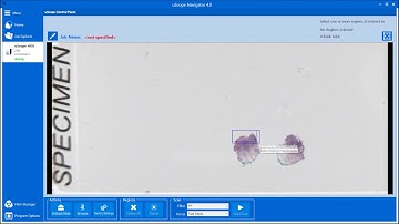 Using the Fast Stack Focus Method