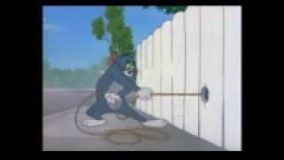 Tom And Jerry, 72 Episode The Dog House 1952 Youtube