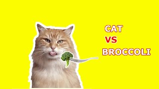 Cat vs. broccoli | Funny cat fails compilation | Best of cat fails (Dec 2020) #Cat #CatFails