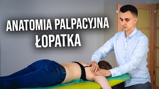 Anatomia Palpacyjna Łopatka