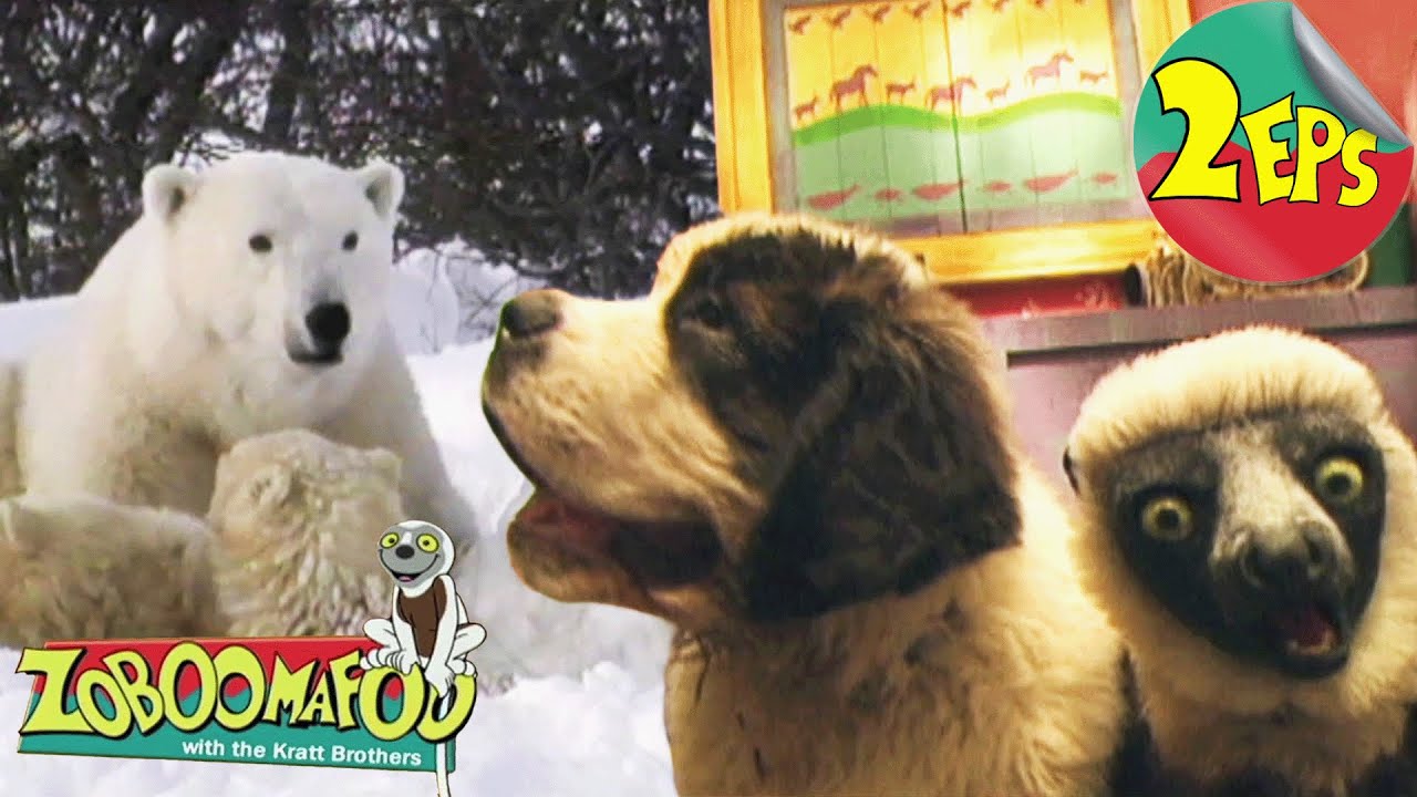 Slimy buddies + Snowday | Zoboomafoo - Double Feature | Full Episodes 07 + 08