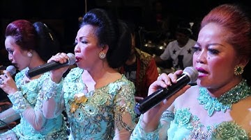 Lagu Entog Mulang jaman NOW keren PGH -3