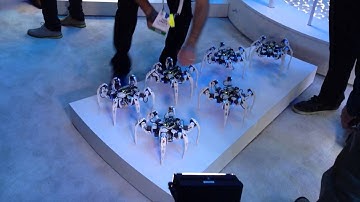 CES Dancing Spider Robots
