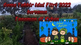 Takbiran Idul Fitri 2022 || Indahnya Di Kampung Halaman/Rindu Kampung