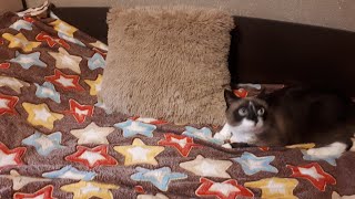Видео ВАСИЛЁК ЖЖЕТ!ВСЕ НЕ ТАК ИДЕАЛЬНО КАК ПОКАЗЫВАЮТ БЛОГЕРЫ.РЕАЛЬНЫЕ ПЛОХИЕ ОТЗЫВЫ (автор: Renata R)
