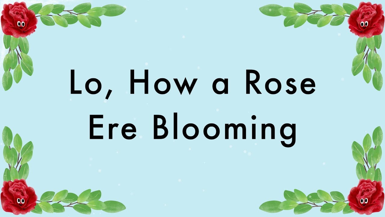 Lo, How a Rose Ere Blooming - Traditional Christmas Carol - Lyrics