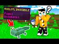 MINECRAFT MA TUTTI I MOB SONO INVISIBILI!