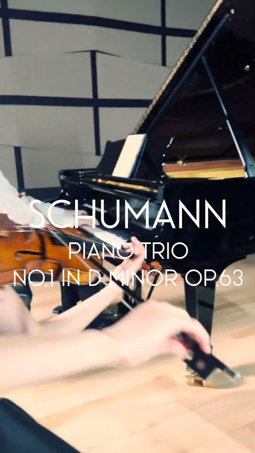 Schumann Piano Trio no.1/ TRIO VENTUS Recital 〜Emotive