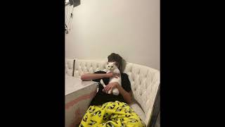 Deha Inc. - Aşkim Trap (Full Version) Resimi