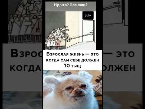мемы 3000 года