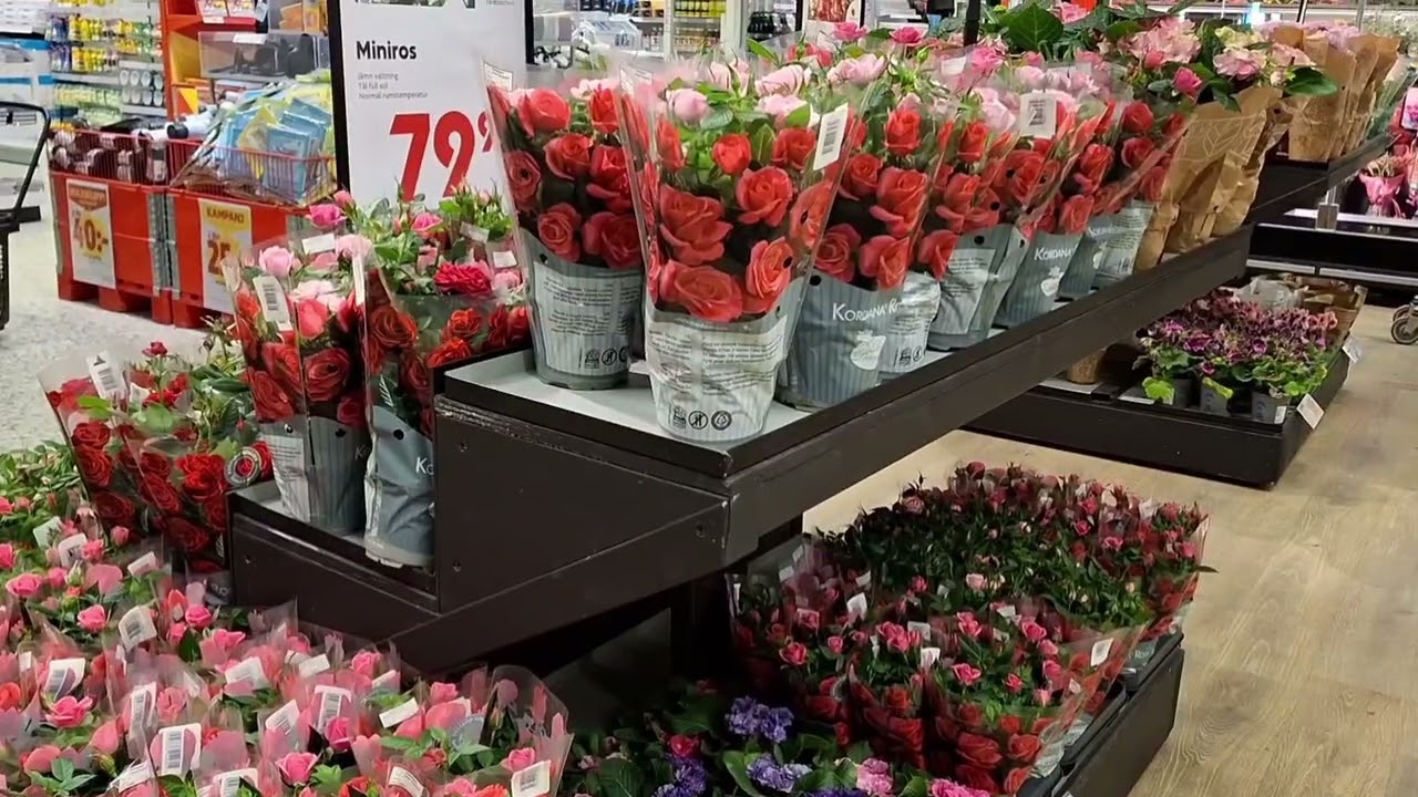 MAXI STORMARKNAD  11 FEBRUARI  uppsala 