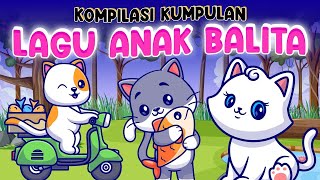 Pok ame ame - Ada kodok ngorek - Anak kucing meong meong - Kumpulan lagu anak indonesia versi baru