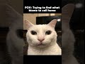 Too many #trending #viral #minecraft #minecraftmemes #fyp #foryoupage