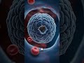 Alzheimer’s Treatment Is About to Change Forever