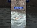 Icy Rescue From Central Park Pond