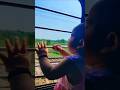 #cuteness #cutnessoverloded #reels #reel #explore #sikhardhawan #jacklinefernandez #song #tranding